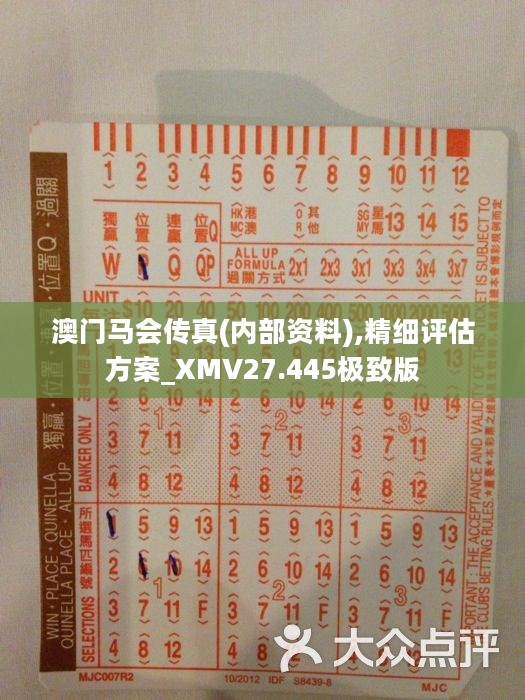 正版马会传真资料内部,飞速解答解释落实_升级版94.82.24