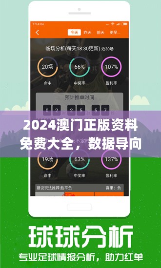 2024澳门精准正版资料,洗练解答解释落实_显示版32.83.38